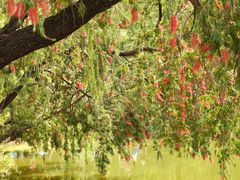 -人民公园(罗湖区)