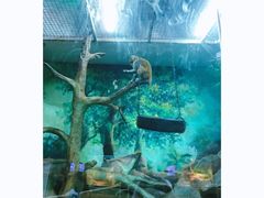 -福州罗源湾海洋世界旅游区