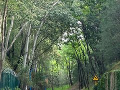 -森林公园(尖草坪区)