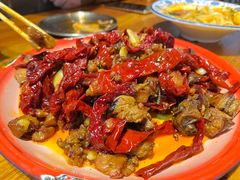 -柴窝堡22号辣子鸡·传承新疆菜