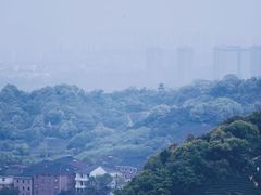 -龙坞茶村