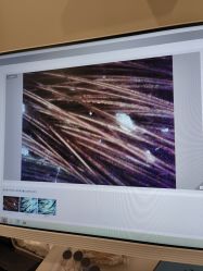 -史云逊养发护发