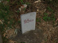 -羚羊峡古栈道森林公园