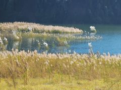 -孔雀湖生态旅游区