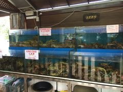 -真浪花园海鲜餐馆