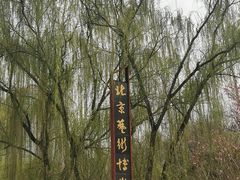 -北京艺术博物馆(万寿寺)