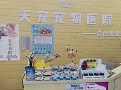 -天宠宠物医院24小时·急重症诊疗中心·全科·腔镜特色(和平分院)