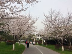 -尚贤河湿地