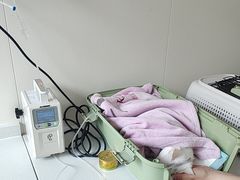 -美联众合动物医院·24h京西诊疗中心