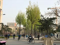 -清华大学-清芬园
