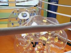 -不可思议减压馆·解压博物馆·摔碗发泄·团建定制