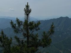 -塔云山