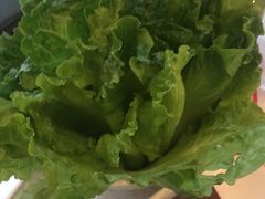 生菜-舒来喜鱼锅(伊河路店)