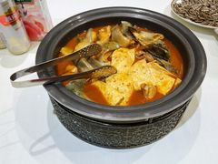 开河鲤鱼-九十九顶毡房(阜石路店)