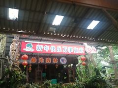 -绿光森林餐厅