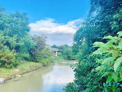 -上海海湾国家森林公园