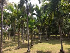 -红色娘子军纪念园