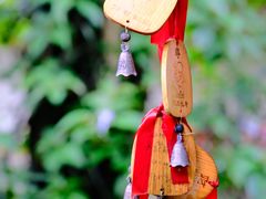 -莫里热带雨林景区