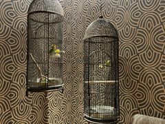 -北京丽亭华苑酒店·四季中餐厅(知春路店)