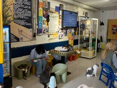 -平行世界·猫咖(首经贸店)