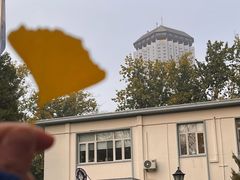 -三里屯东五街银杏大道