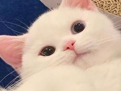 -Tomado绿色烘焙(大尧三路店)
