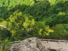 -西安祥峪森林公园