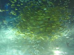 iphone_upload_pic-福州罗源湾海洋世界旅游区