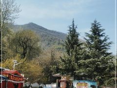 -盛世牡丹苑生态文化旅游区