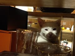 -前童古镇