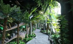 -恐龙探索乐园(磁器口店)