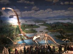 -自贡恐龙博物馆