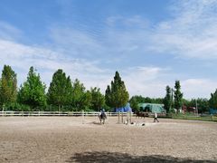 -北京群众马术培训基地