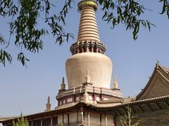 -张掖大佛寺景区