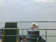 -海安新港(公交站)
