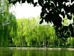 -北湖公园