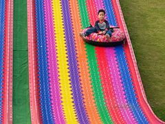 -黄海国家森林公园