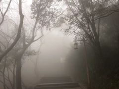 -普陀山风景区-佛顶山