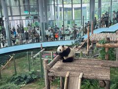 -大连森林动物园