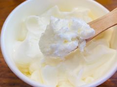 奶油味雪糕-老鼎丰(靖宇街总店)