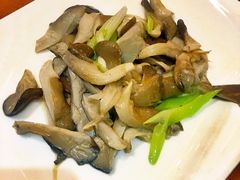 -玛禄藏膳(五分店)