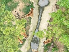 -西霞口神雕山野生动物世界