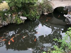 -杭州西湖柳莺里酒店