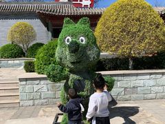 -阳台山自然风景区
