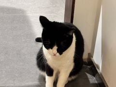 -原田新料理(1912店)