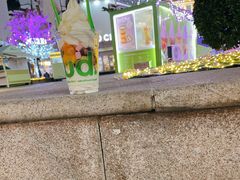 -Salud撒露欧洲冻酸奶(蓝色港湾店)