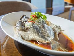 -大连君悦酒店·星海湾壹号Dalian·Dalian(星海广场店)