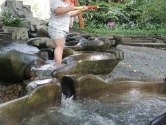 -成都市活水公园