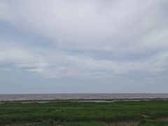 -南汇嘴观海公园