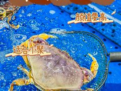 -炊江南·上海菜(国展华漕店)